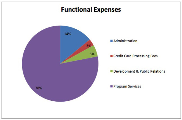 financial pie